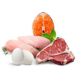 مواد پروتئینی و تخم مرغ